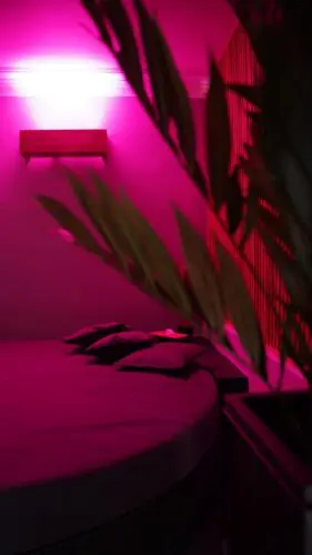 Image du fauteuil rond sous néon rose