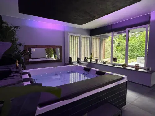 Image du jacuzzi de la villa sous neon rose